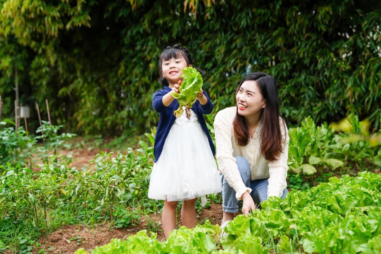 Xiamen C&D Hotel-Free Welcome Snacks-Oasis Garden Exterior foto